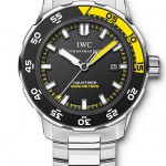 Reference IW356801 from IWC