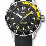 Reference IW356802 from IWC